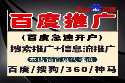 某某sem广告公司成功案例：如何通过SEM优化提高电商销售额
